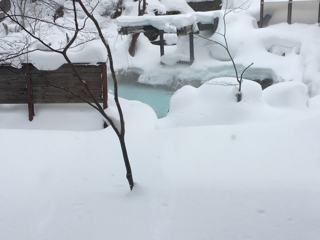 泡の湯旅館の大露天風呂の一部